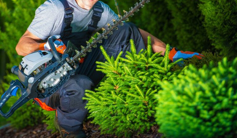 gartenarbeit-kreuzlingen