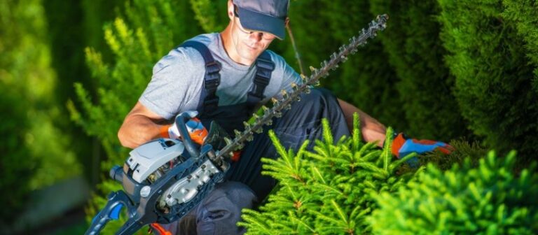 hauswart_garten_hecke-q0peqmsc83ip85eoznxjupa3et7hpjx1k0sx91udnw
